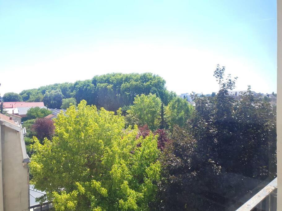 Le Cosy Du Faux Bourg Lägenhet Châlons-en-Champagne Exteriör bild